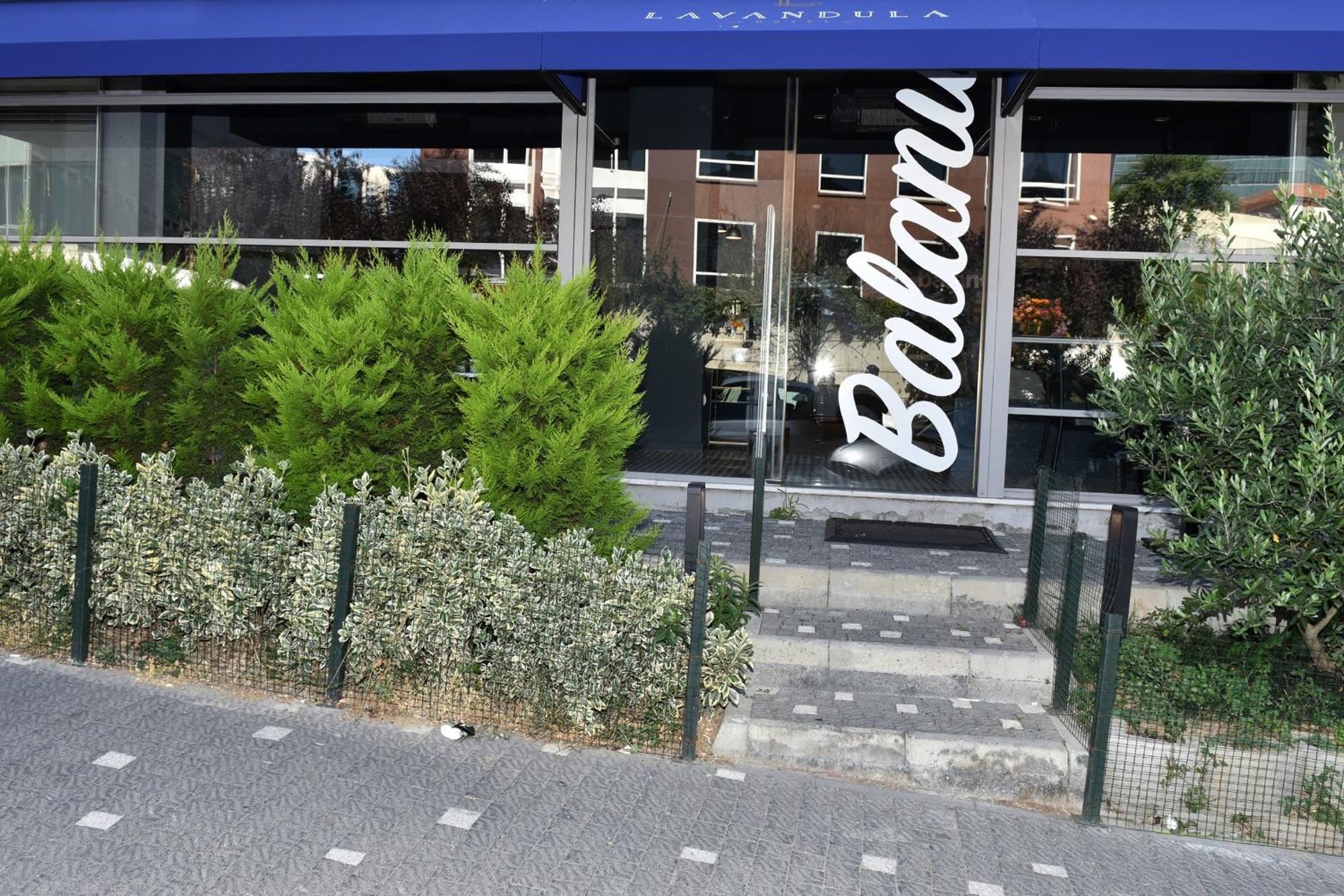 Levent Lavandula Hotel — Fotoğraflar 2